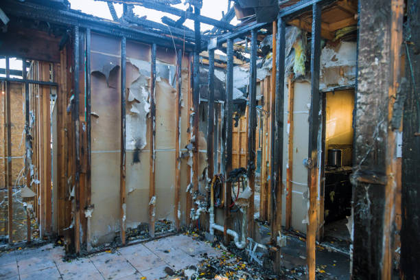 Professional Fire Damage Cleanup technician working in Fisherville, KY