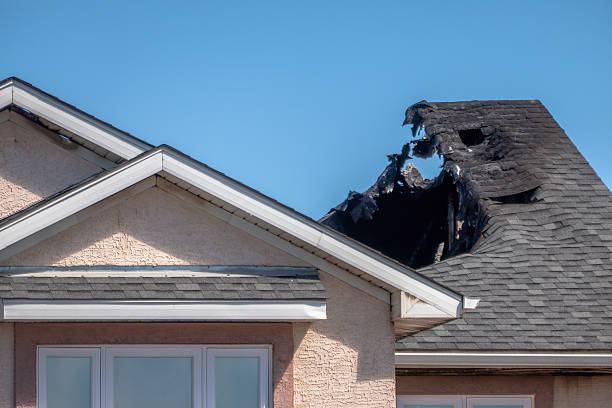 Top rated local Fire Damage Cleanup specialists in Fisherville, KY